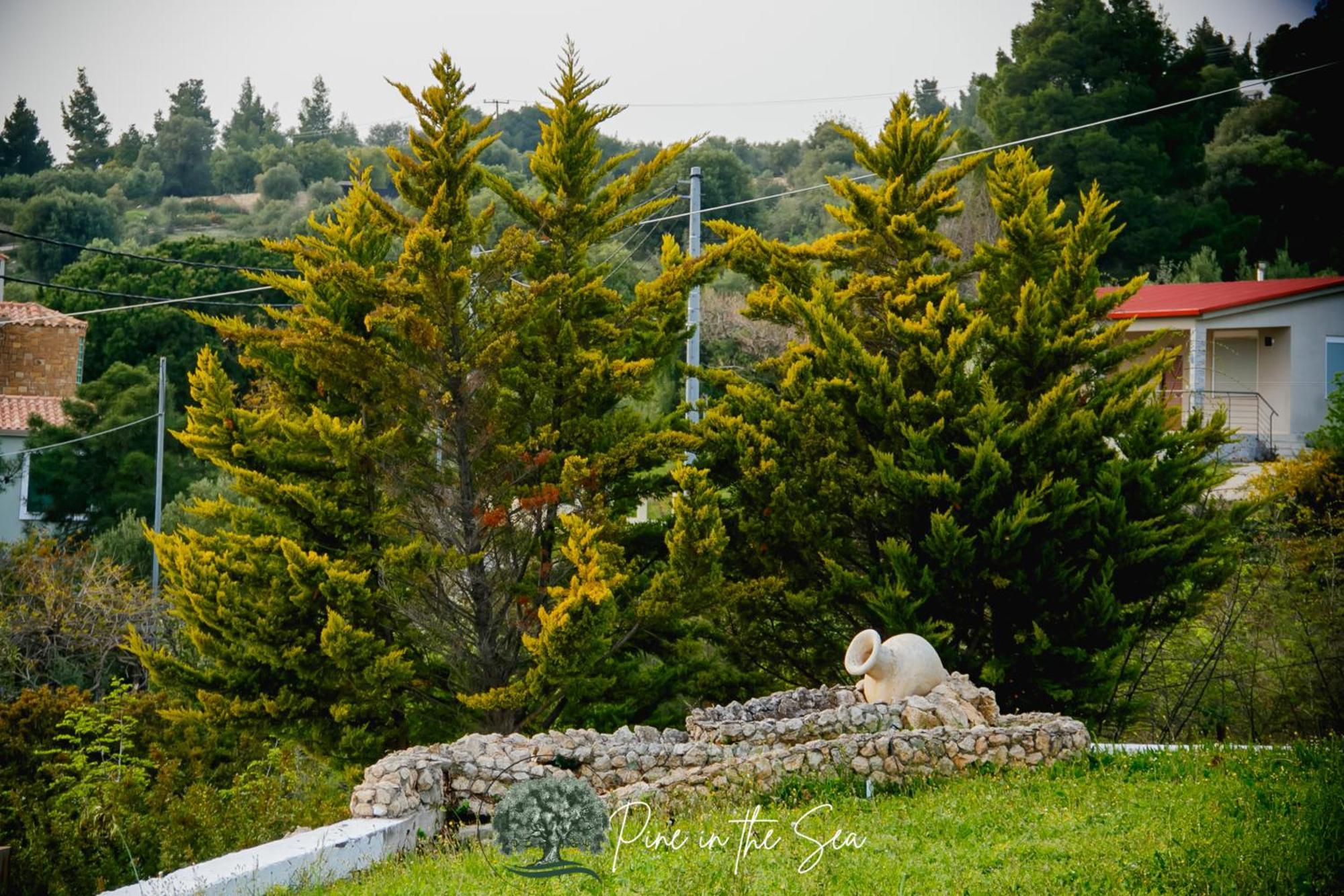 Pine In The Sea Nikiti-Sithonia 아파트 외부 사진